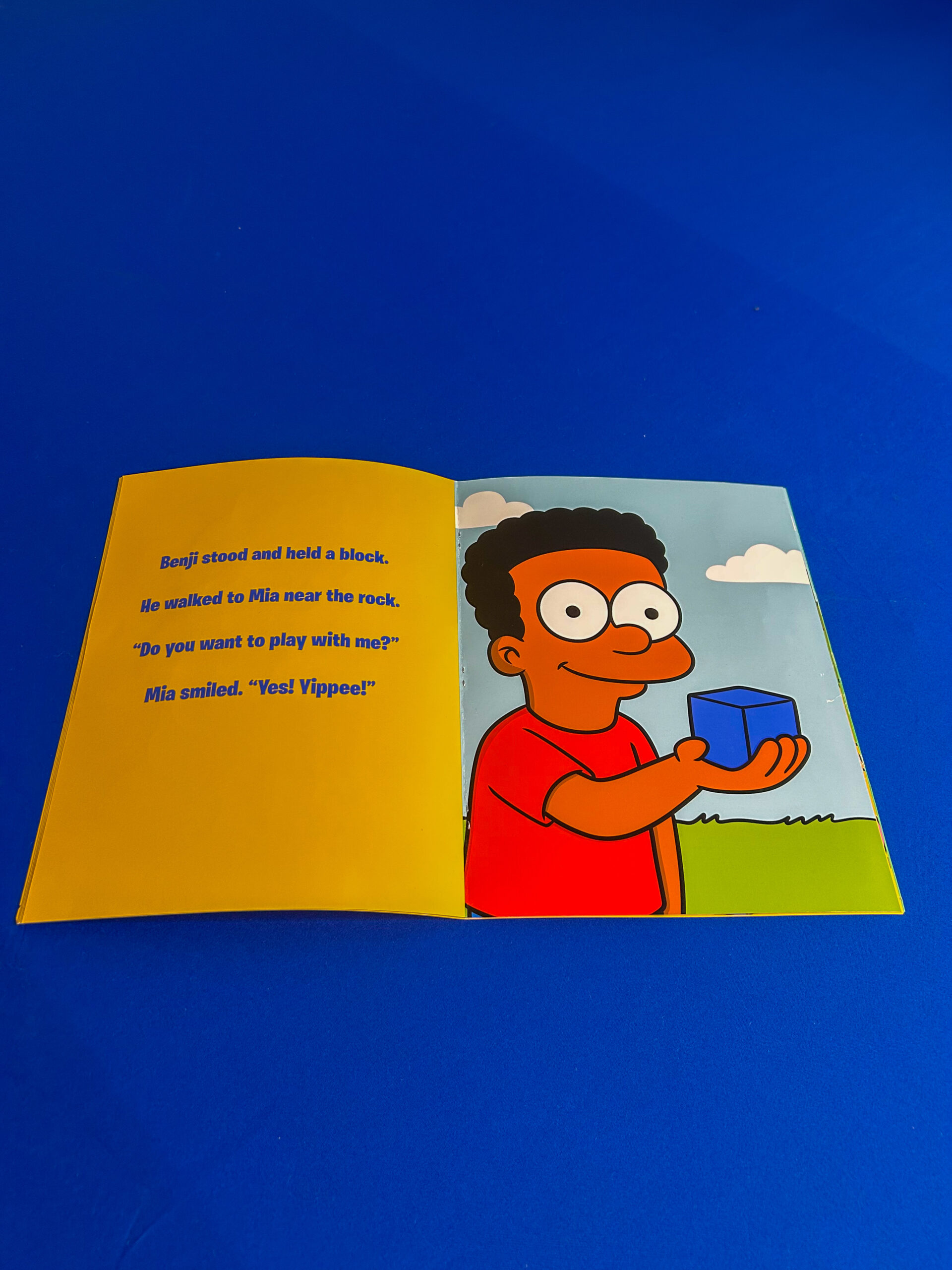 Benji's Blue Blocks Book