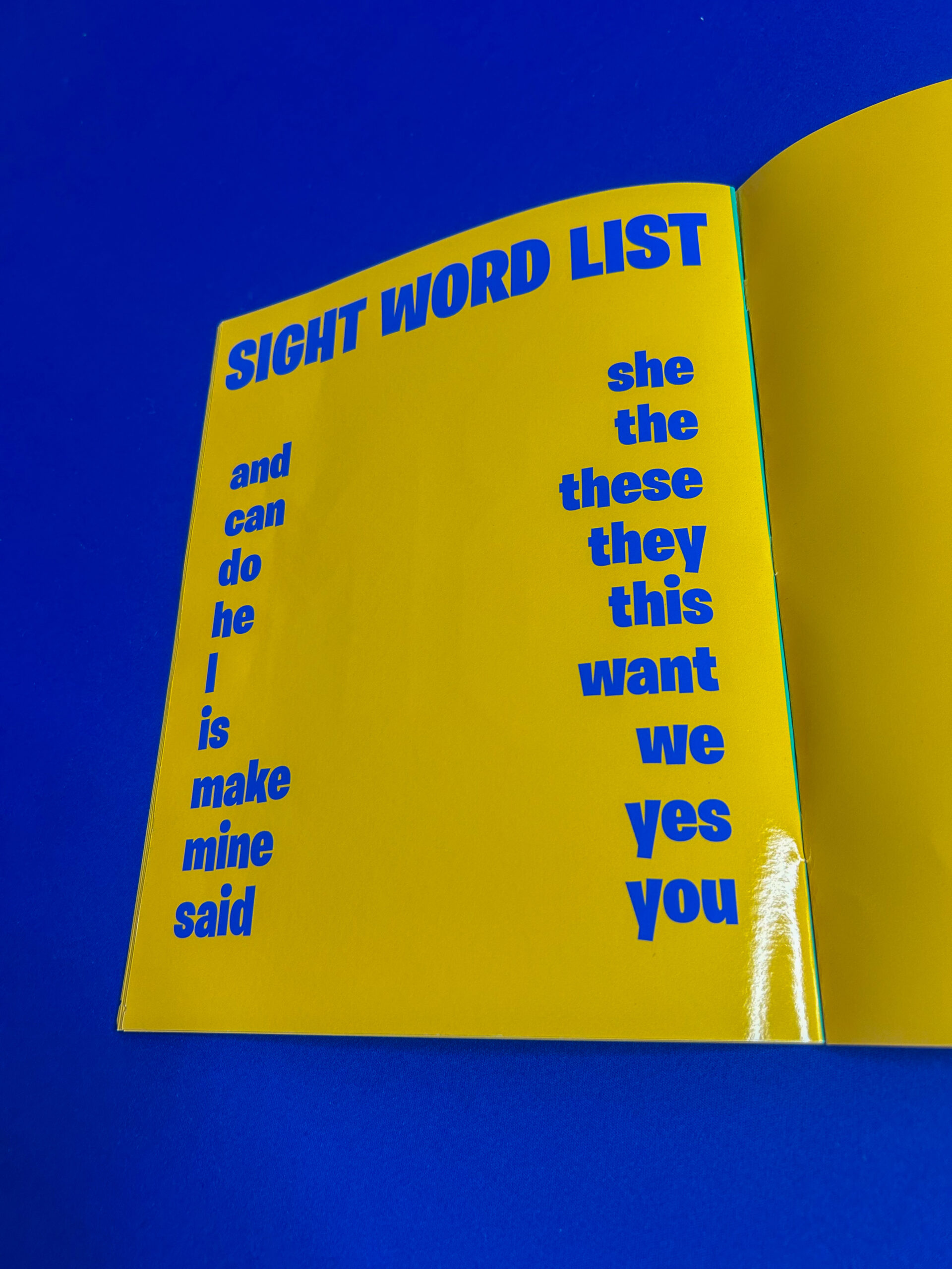 Benji's Blue Blocks Book